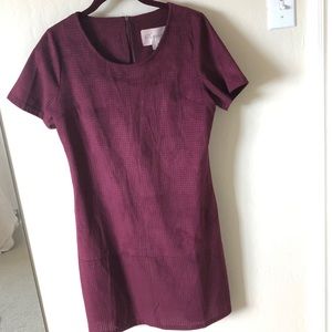 Perforated Suede Shift Dress